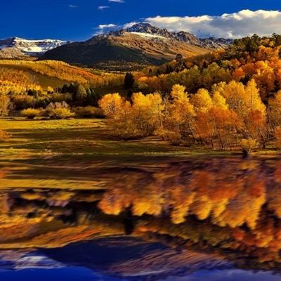 万博全站(ManBetX)下载手机版